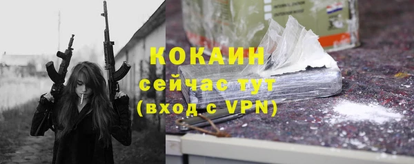 МДПВ Богородск
