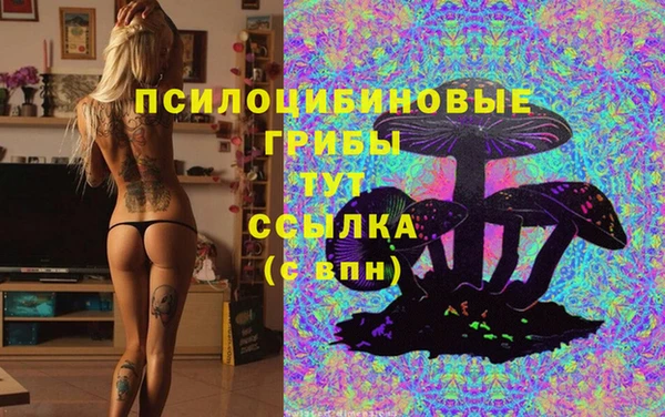 спайс Беломорск