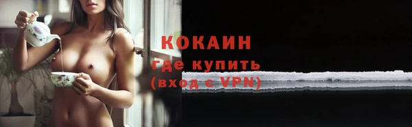 МДПВ Богородск