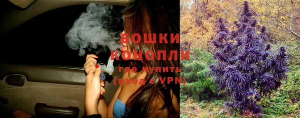 соль курить ск Белокуриха