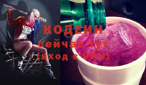 МДПВ Богородск
