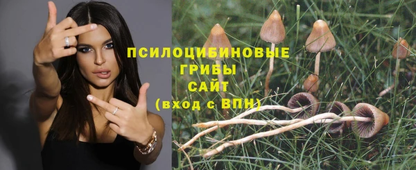 спайс Беломорск