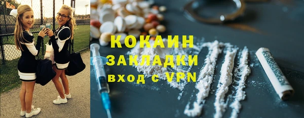 соль ск Богородицк