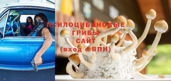 соль курить ск Белокуриха