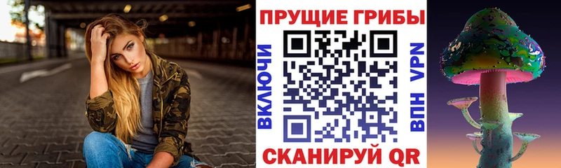 Галлюциногенные грибы мицелий  Шагонар 